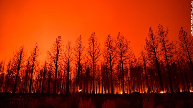 Northern Hemisphere's summer of wildfires let off record-breaking carbon emissions