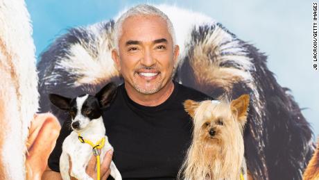 Cesar Millan, seen here attending the premiere party for his new National Geographic series, is back to his old tricks (of teaching tricks) in &quot;Cesar Millan: Better Human Better Dog.&quot;