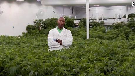 NBA player Al Harrington Cannabis business ndwknd vpx _00000000