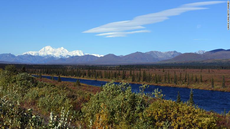 Hiker attacked by bear during solo outing in Denali National Park