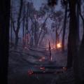 03 incendios forestales de cali 0826