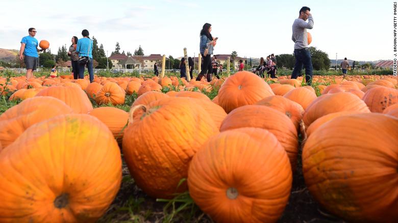 Pumpkin season is upon us: Why we seem to embrace fall earlier every year