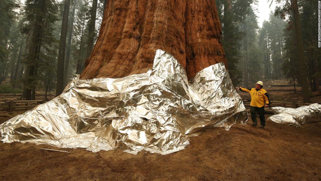El jefe de la Sección de Operaciones, Jon Wallace, observa la secuoya gigante General Sherman en el Parque Nacional Sequoia en septiembre 22. La base del árbol, el mundo&#39;s más grande por volumen, estaba &lt;a href =&quot;https://www.cnn.com/2021/09/22/weather/us-western-wildfires-wed Wednesday/index.html&quot; objetivo =&quot;_blacotizaciónamp;quot;&gt;envuelto en un material resistente a las esemaduras a base de alumigto&lt;/a&gt; para protegerlo de los incendios forestales.