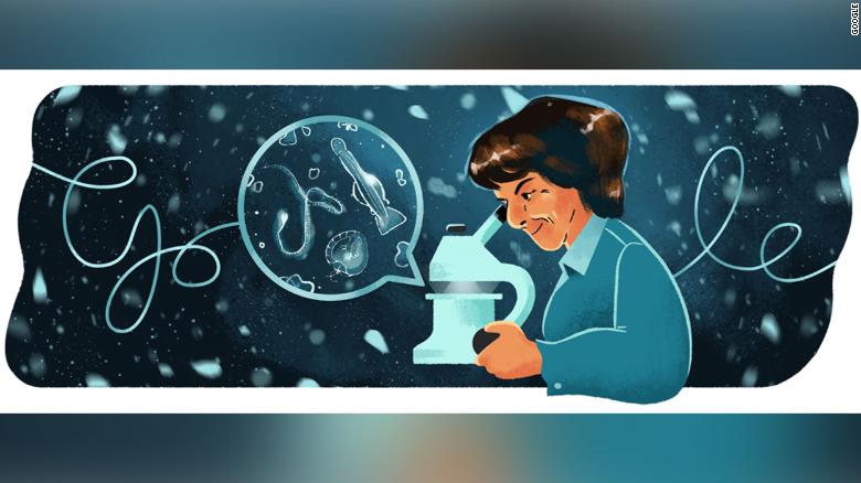 Google celebrates marine biologist María de los Ángeles Alvariño González with latest Doodle