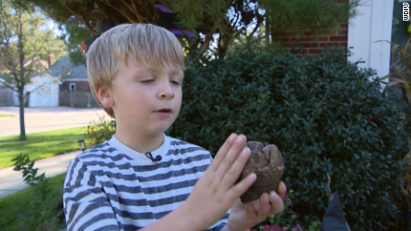 six year old boy mastodon tooth discovery wdiv vpx _00004117.png