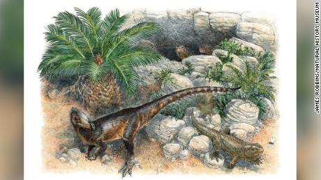 Dinky dinosaur was the smallest of its kind when it roamed Wales 200 million years ago