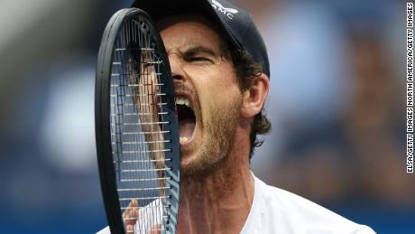 Andy Murray had asked fans to help him find his alliance. 