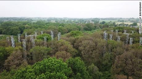University of Birmingham research arrays in a forest of trees.