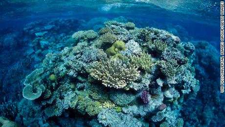 Australia&#39;s Great Barrier Reef will survive if warming kept to 1.5 degrees, study finds
