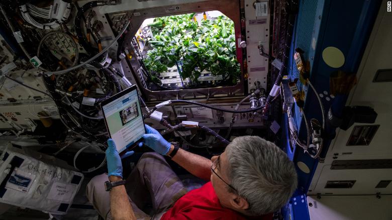 Bread baking, fresh strawberries claim top spots in NASA's Deep Space Food Challenge