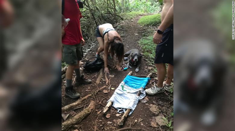 12세 보이 스카우트가 하와이 트레일에서 길을 잃은 부부와 부상당한 개를 구조하기 위해 자신의 기술을 사용했습니다.