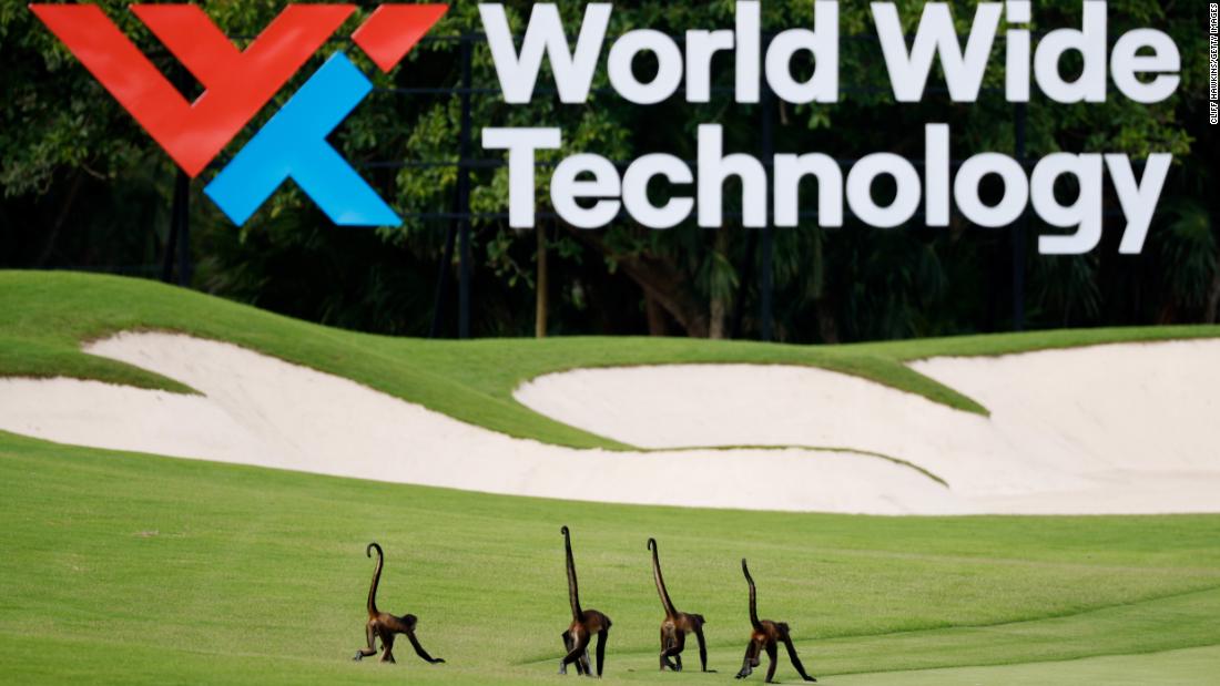 Monkeys are seen on the seventh fairway during the second round of the World Wide Technology Championship at Mayakoba on El Camaleon golf course in Playa del Carmen, Mexico in 2021.