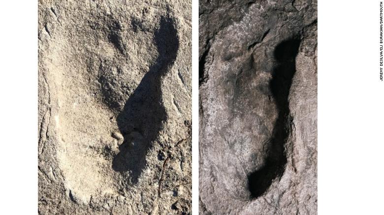 Enigmatic footprints, once thought to belong to a bear, linked to unknown human ancestor