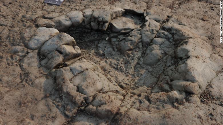 恐龙足迹可以追溯到 200 在威尔士海滩发现百万年, 研究人员认为