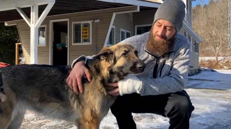 'Real-life Lassie': Dog leads New Hampshire police to her injured owner following crash