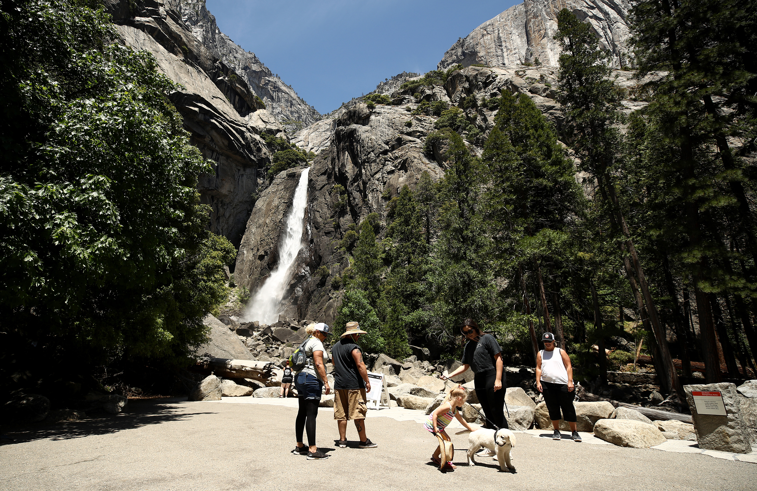 are dogs allowed at yosemite national park
