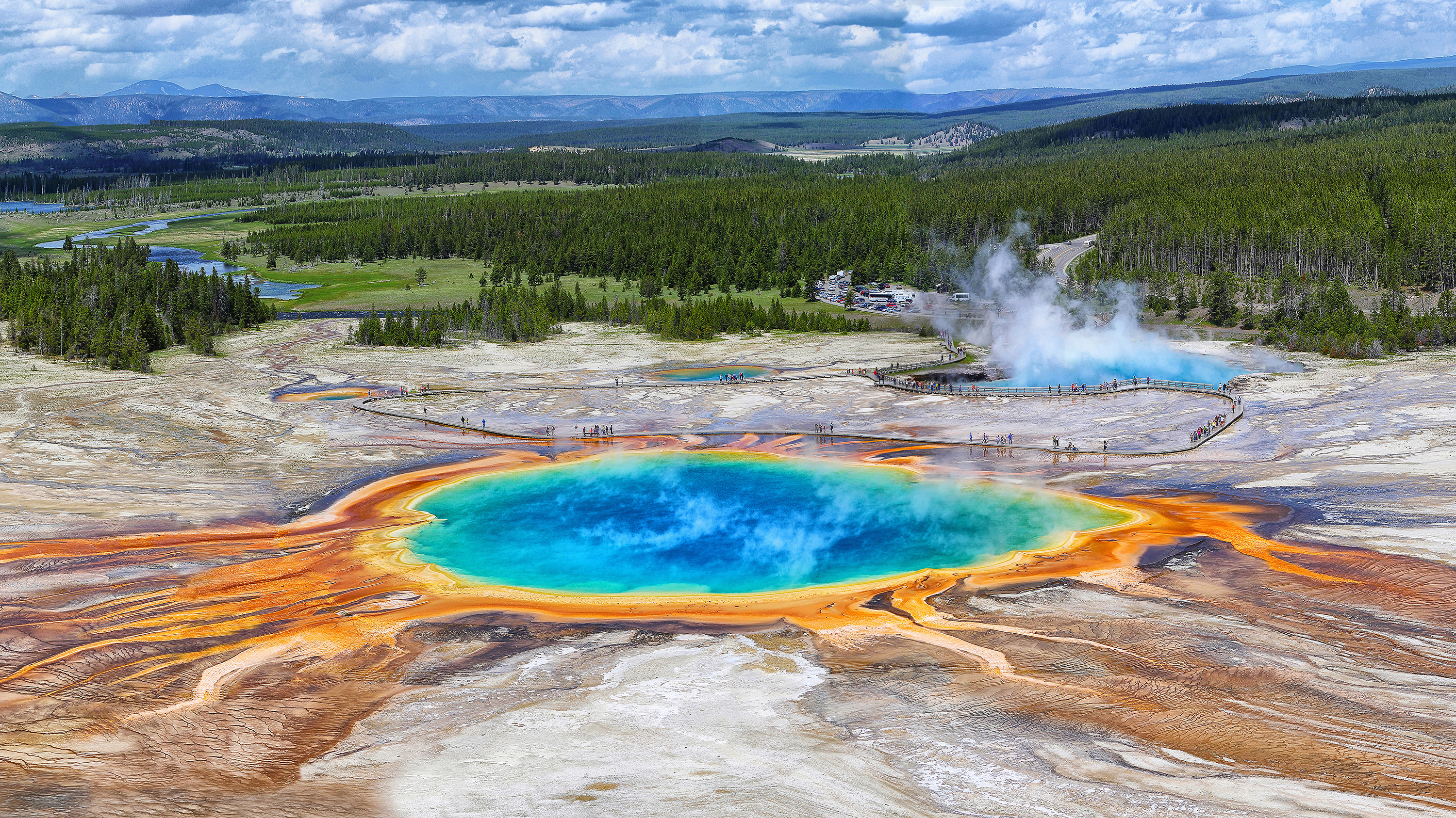 are dogs allowed in yellowstone park