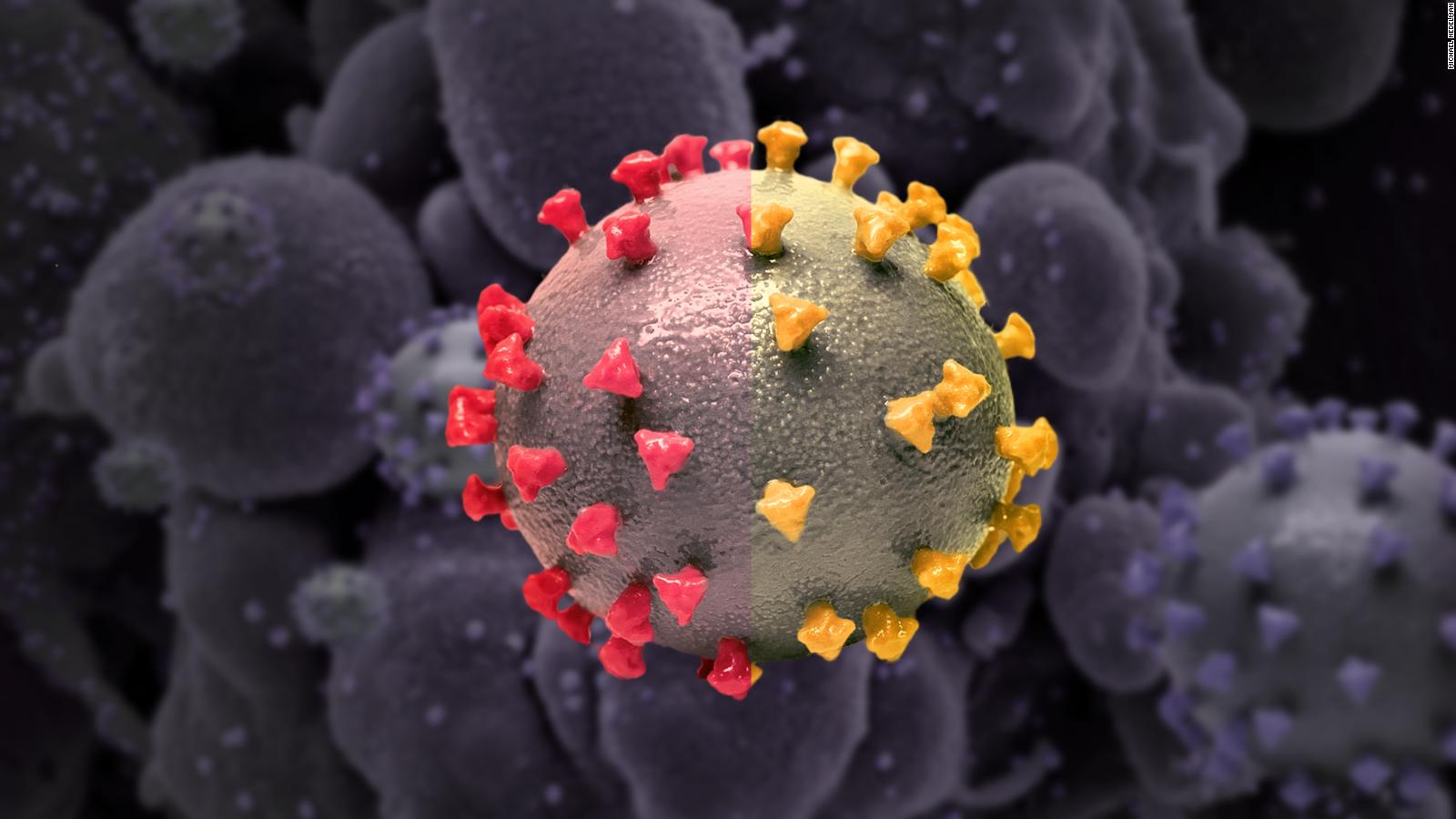New coronavirus subvariants escape antibodies from vaccination and prior Omicron infection, studies suggest
