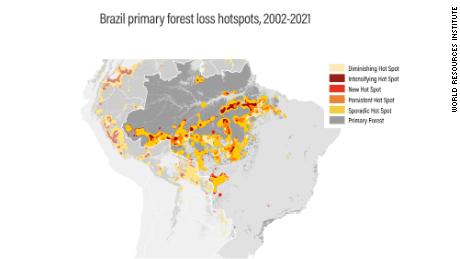 Brazil primary forest loss hotspots