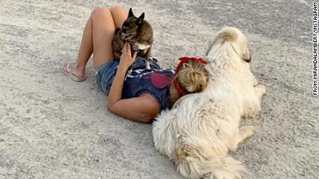 Miranda Lambert shares photos of her furry family on National Adopt A Shelter Pet Day