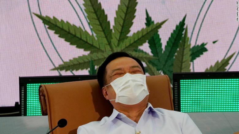 Thailand to giveaway one million free cannabis plants to households, ministro dice