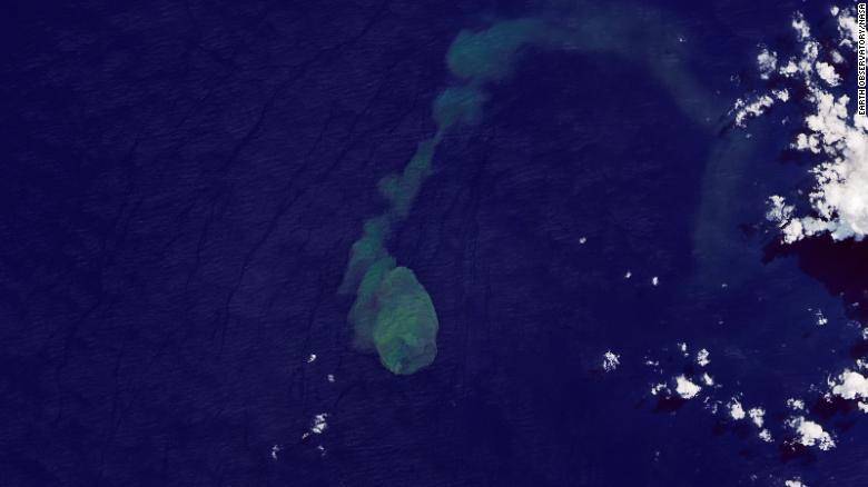 NASAが海底火山の噴火を捉える, ありそうもない家 2 サメの種