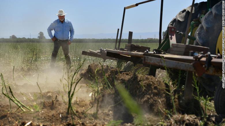 California drought is pushing Latino farmers and workers to make difficult decisions