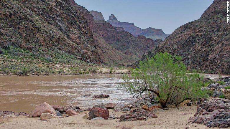 Chicago woman dies after falling into the Colorado River while on a commercial river trip, NPS says