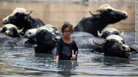 A young Iraqi shepherdess cools down buffaloes in wastewater filling the dried-up Diyala river which was a tributary of the Tigris, in the Al-Fadiliyah district east of Baghdad, en Junio 26. Irak&#39;s drought reflects a decline in the level of waterways due to the lack of rain and lower flows from upstream neighboring countries Iran and Turkey. 