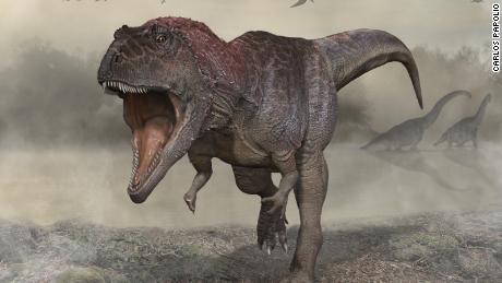 New dinosaur species discovered that had tiny arms like T. rex