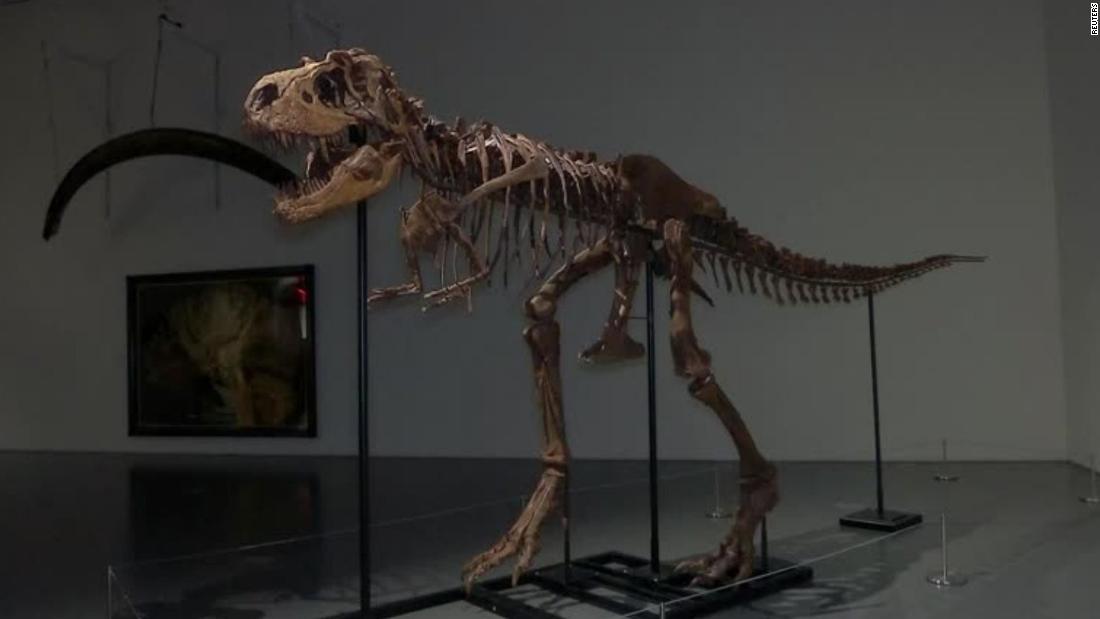 Sotheby S Subastar El Esqueleto Completo De Un Dinosaurio Que Podr A