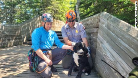 Dog visiting the Pictured Rocks National Lakeshore in Michigan rescued after falling nearly 30 feet down a cliff, park officials say 