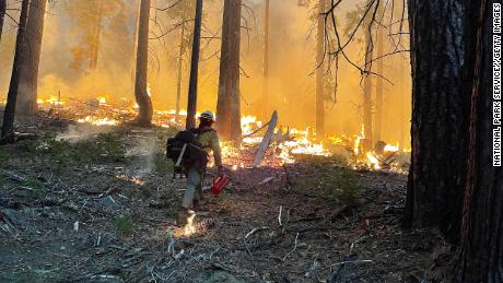 Firefighters conduct backfiring operations near the South Entrance on July 11 in Yosemite National Park, California. 