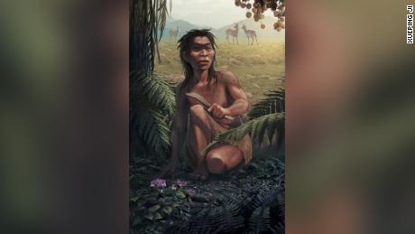 This is an artist&#39;s impression of the Red Deer Cave People, who lived in Yunnan, 中国, 約 14,000 数年前. 
