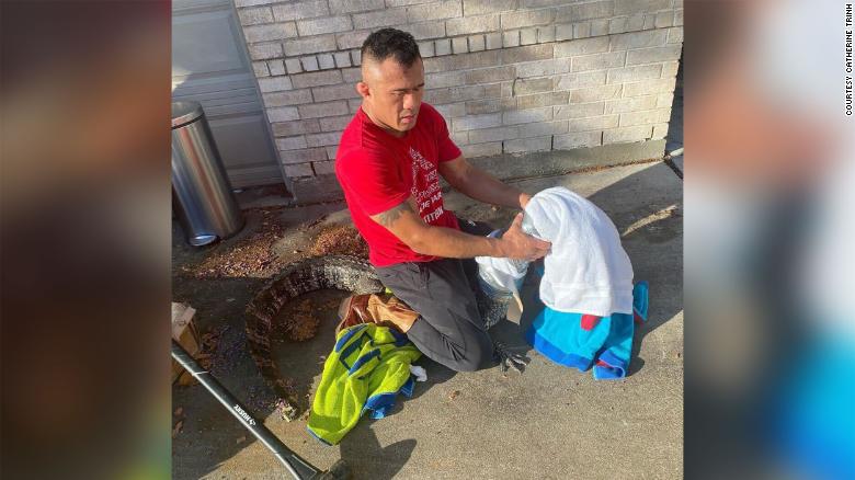 A Texas dad wrangled an alligator -- just before his daughter's first day of school