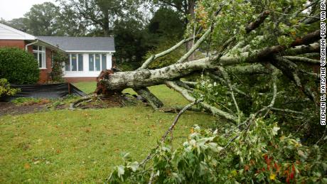 A tree is seen down in the Thoroughgood neighborhood of Virginia Beach during severe weather on Friday, September 30.