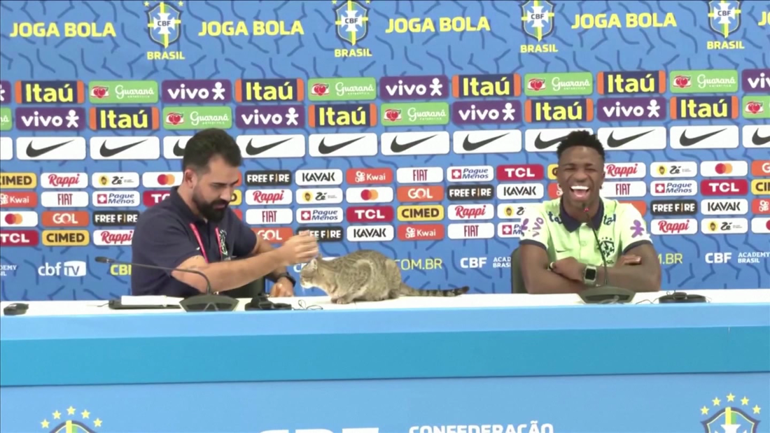 Un gato interrumpe la conferencia de Vinicius Jr y la reacción del