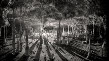 Martin Broen's atmospheric "Long Shadows" won first place in the Black and White category. The photo presents stalactites hanging from the roof of Cenote Dos Pisos, Mexico.
