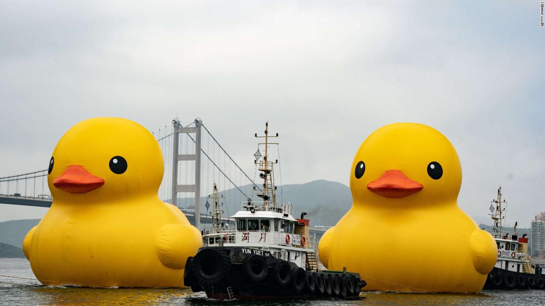 Por Qu Estos Patos De Goma Gigantes Regresan A Hong Kong Luego De Una