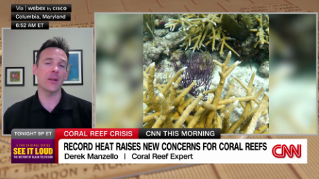 exp coral reef bleaching manzello intv 071606aseg1 cnn world_00002001.png