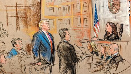 Court sketch of moment Donald Trump plead &quot;not guilty&quot;