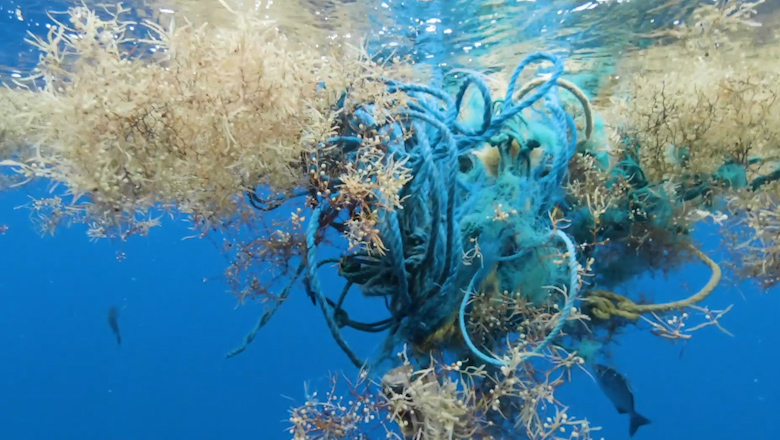 Microplastics found in the Sargasso Sea | CNN