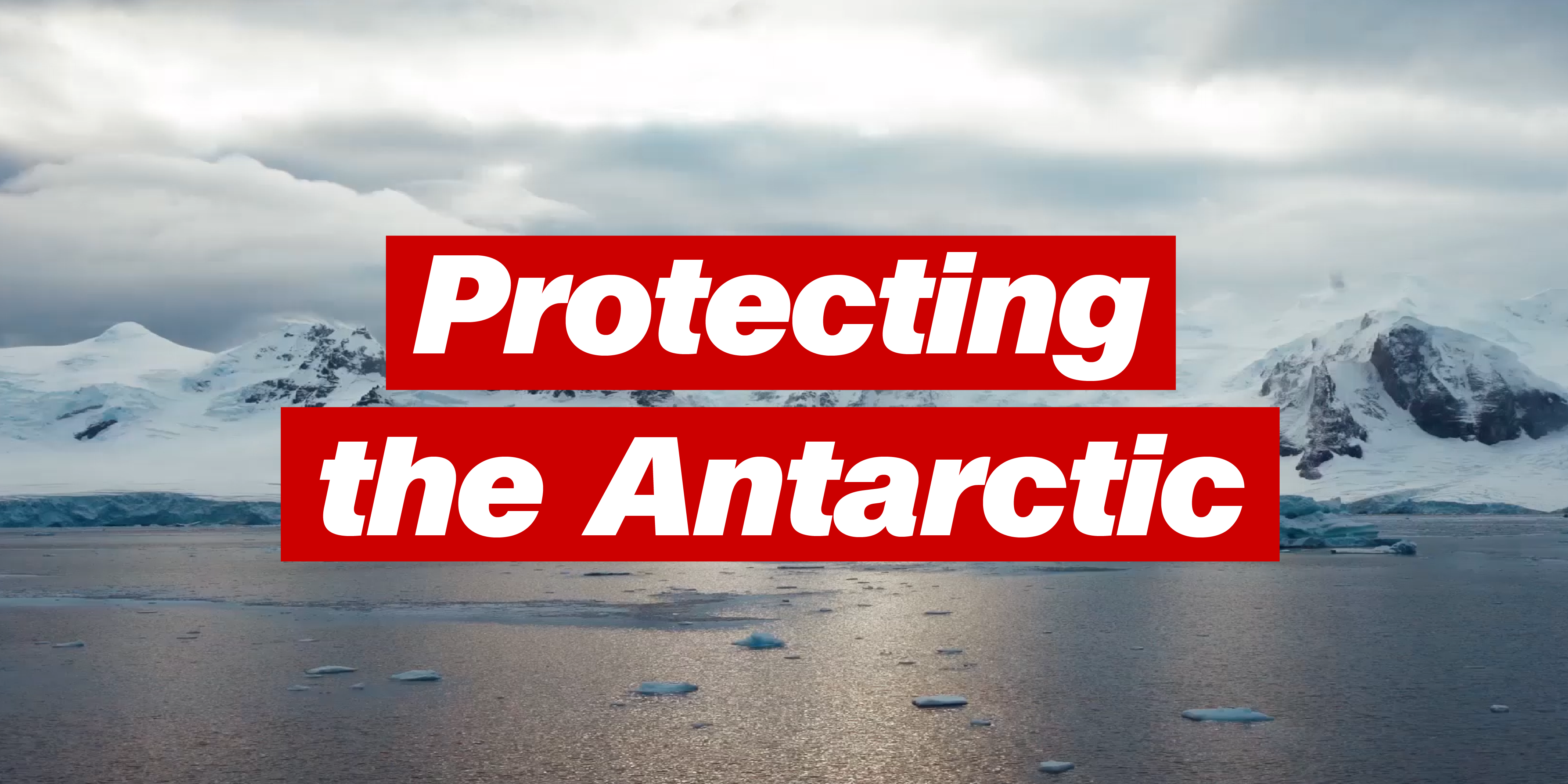 Protecting The Antarctic