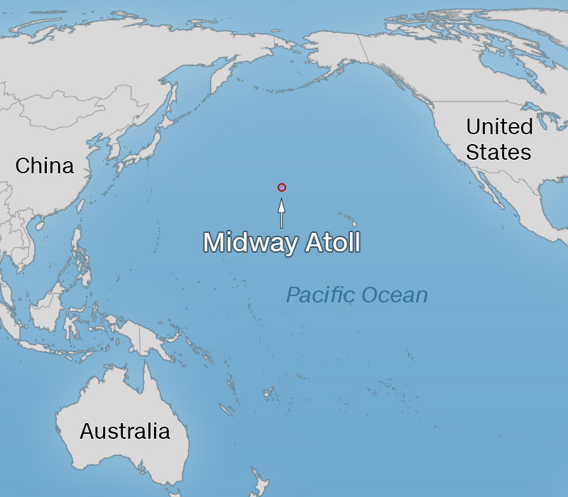 Midway Island On World Map My XXX Hot Girl   Map Midway 