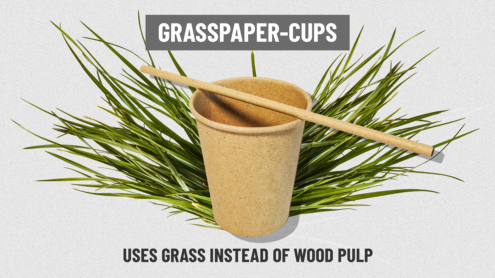 Why That “Compostable” Plastic Cup Isn't Good for the Environment Either