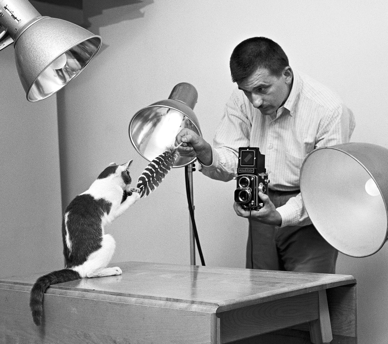 The Photographer of Cats Before the Internet