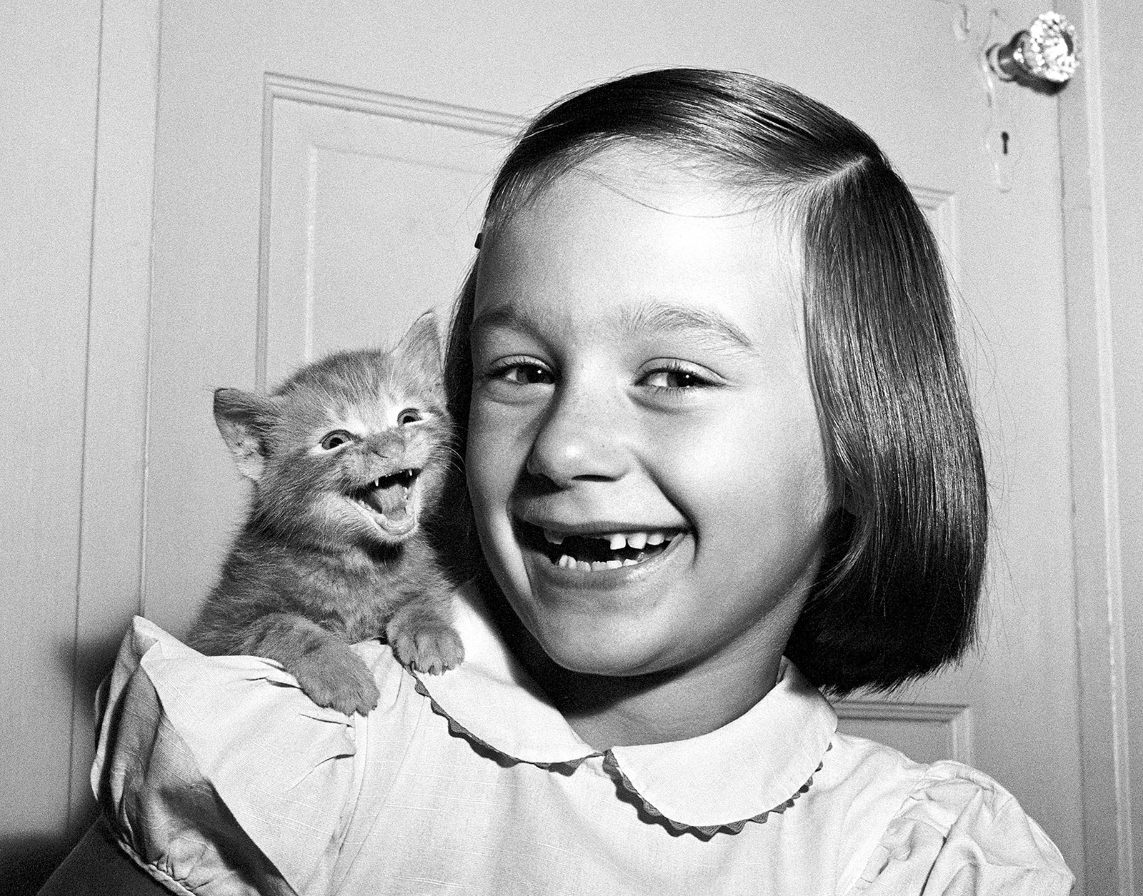 Before The Internet His Cat Photos Ruled The World 5146