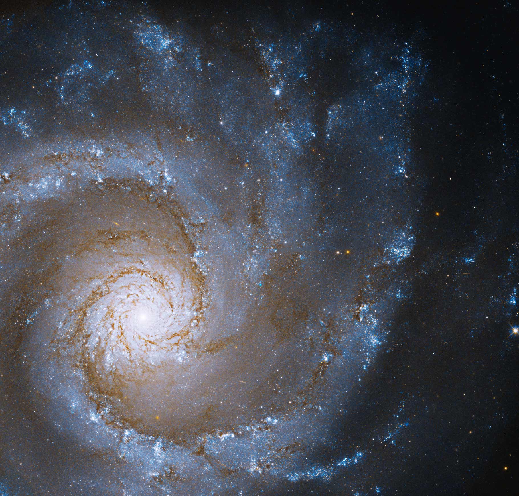 The Hubble Space Telescope spotted this spectacular view of the <a href="https://www.cnn.com/2022/05/31/world/hubble-grand-spiral-galaxy-scn/index.html" target="_blank">grand design spiral galaxy</a> NGC 3631. The head-on view, released on May 26, displays arms that seem to wrap around the galaxy&#39;s structure.