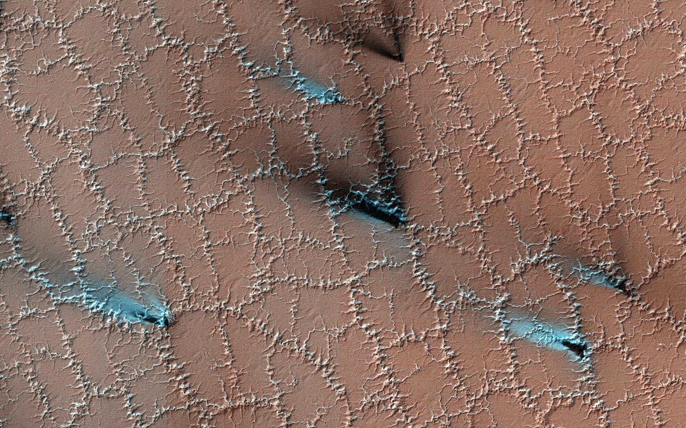Frozen water on the surface of Mars splits the ground open into polygons, creating a strange but beautiful pattern in this image released by NASA on June 26.