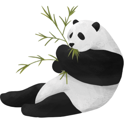 Illustration of Giant panda